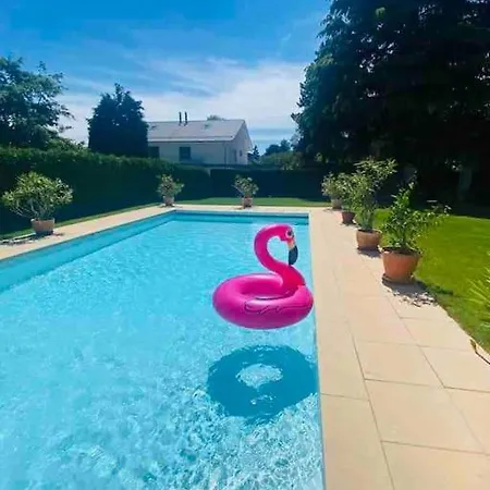 Adorable Studio *