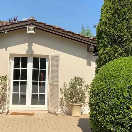 Adorable Studio Konukevi